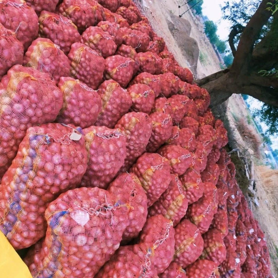 Fresh Onion – 1kg | Daily Cooking Essential | CK Bazaar - Image 5